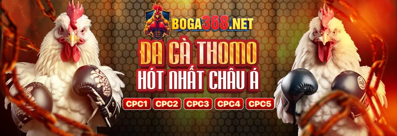Đá gà trực tiếp tại i9bet142